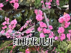-大连人民广场