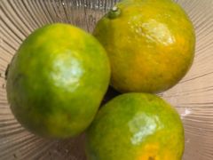 -石鼎香·非遗淮扬火锅(江都龙川桥店)