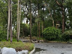 -柳侯公园