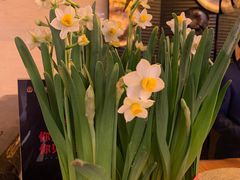 -宝利来国际大酒店(机场店)