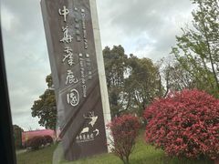 -大姚小姚面馆(九龙港路店)
