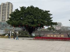 -石炮台公园