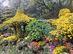 -杭州植物园