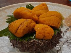 大马粪海胆刺身-加奈日本料理