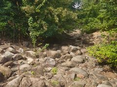 -白塘生态植物园