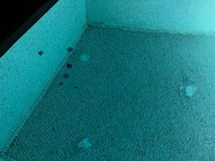 -瑰丽酒店·海吧·天际下午茶·现场DJ·天台酒吧