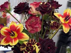 -Flower in(密渡桥店)