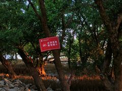 -宝安西湾红树林湿地公园