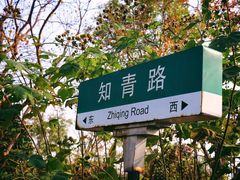 -同里国家湿地公园