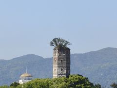 -江心屿景区