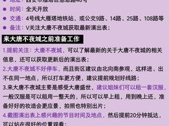 -大唐不夜城
