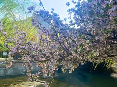 -元大都城垣遗址公园