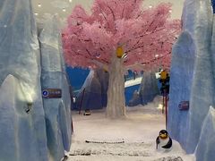 -湘江欢乐城欢乐雪域