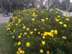 -复旦大学光华楼