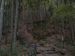 -虎跑公园