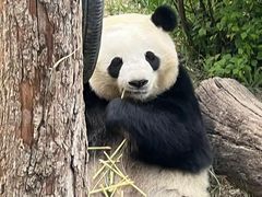 -青藏高原野生动物园
