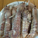 皮皮虾60多块一斤，然后就是已斤多要70块钱