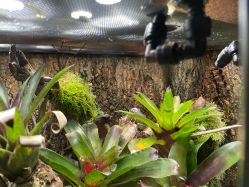 -酷嗒动物文化乐园(cutezoo西溪乐天城店)