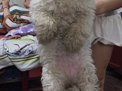 -汪星球宠物生活馆