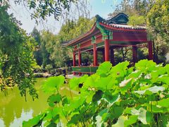 -宣武艺园
