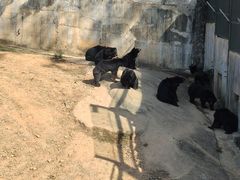 -泉州海丝野生动物世界