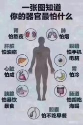 -香薇妮丝·定制减肥·身材管理