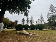 -飞来湖湿地公园