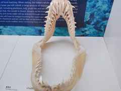 -生命奥秘博物馆