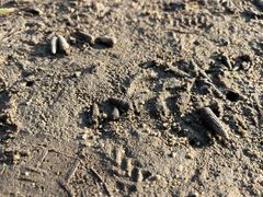 -北海金海湾红树林生态旅游区