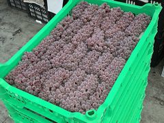 -西郊国际农产品交易中心