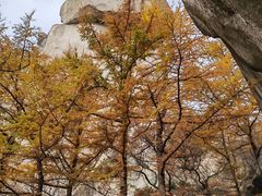 -崂山巨峰游览区