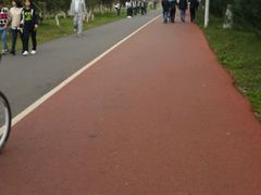 -艾溪湖湿地公园