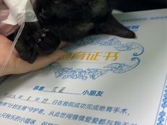 -美联众合动物医院·24h京西诊疗中心