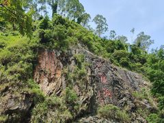 -水濂山森林公园