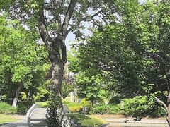 -无锡梁鸿湿地丽笙度假酒店·流觞西餐厅