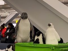 -约翰·菲茨杰拉德·肯尼迪国际机场