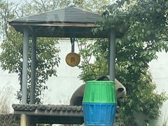 -苏州太湖国家湿地公园