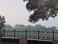 -上海市保健医疗中心