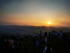 -长虫山生态公园风景林