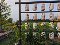 -杭州湾海上花田景区