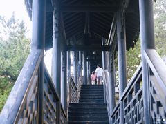 -石老人观光园