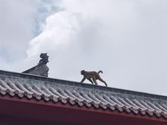 -黔灵山公园