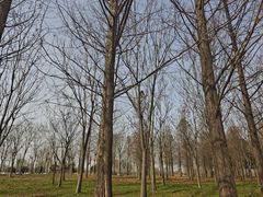 -池州市平天湖风景区