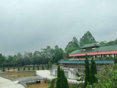 -三水森林公园
