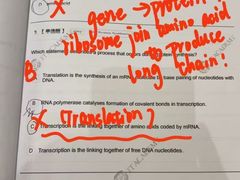 -JT PREP国际学科课程·IB·AP·Alevel(陆家嘴校区)
