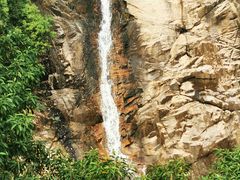 -广州白江湖森林公园