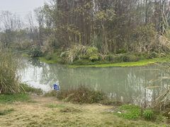 -桤木河湿地公园