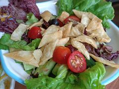 绿色田园沙拉-克比叔叔印度餐厅Kebabs on the Grille(永康路分店)