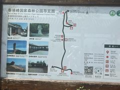 -磬锤峰森林公园