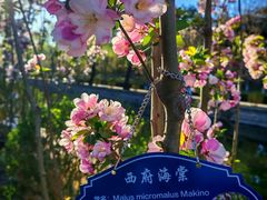 -元大都城垣遗址公园